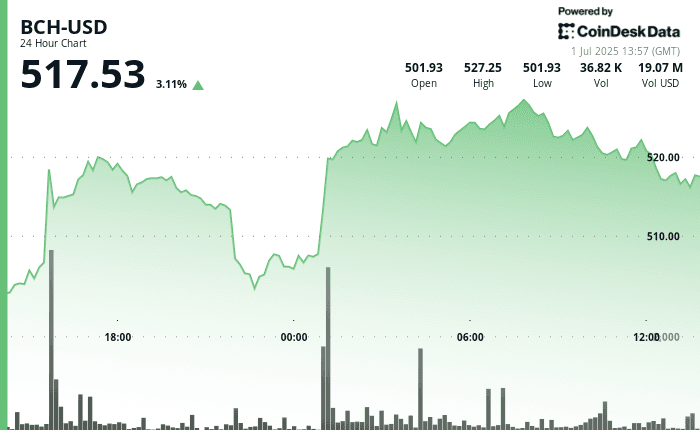 BCH's price. (CoinDesk)