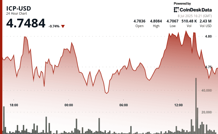 ICP-USD, July 8 2025 (CoinDesk)