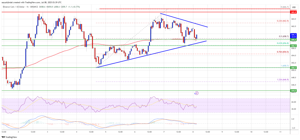 binance-coin-bnb BNB Price