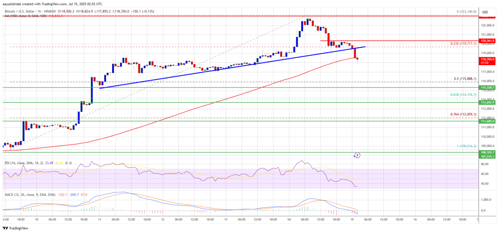 bitcoin_ebd086 Bitcoin Price