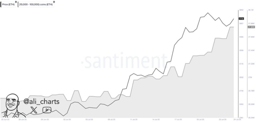 btc_55771c Ethereum whale accumulation | Source: Ali Martinez on X