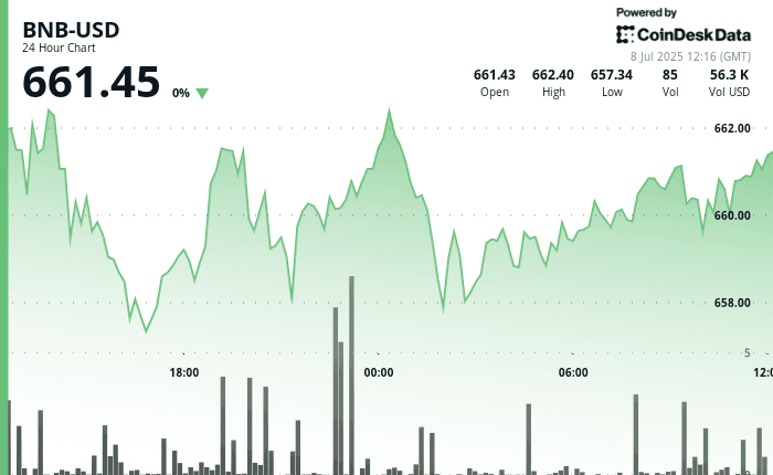 BNB price chart (CoinDesk Data)