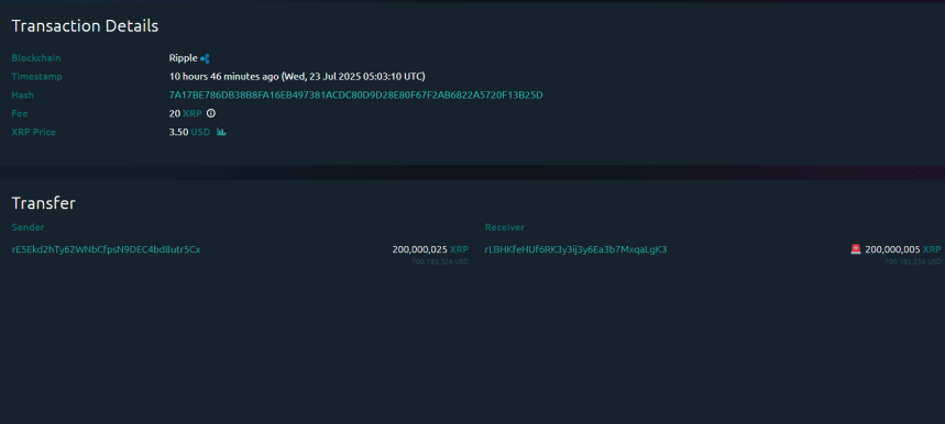 details XRP Whale