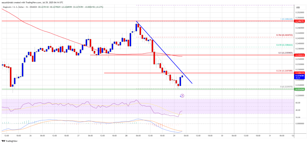 doegcoin-doge_ef049d Dogecoin Price