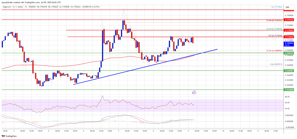 doegcoin-doge_fdfbd7 Dogecoin Price