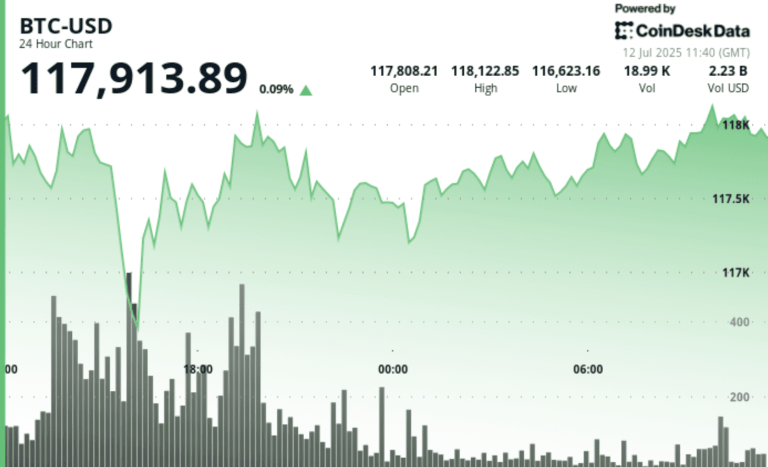 Bitcoin price chart showing fluctuations over the past 24 hours