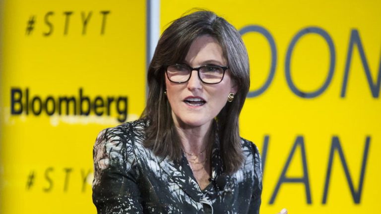 ARK Invest's Cathie Woods. (Bloomberg/Getty Images)