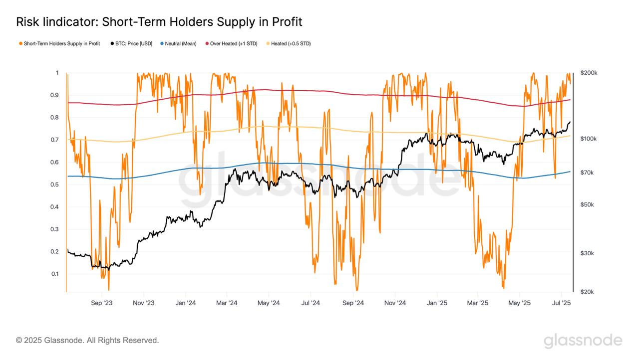 gv59ejxwqaalrk0 Bitcoin STH Supply In Profit
