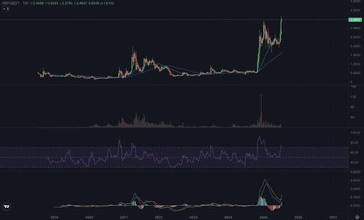 xrp-chart-from-the-ape-of-main-street XRP