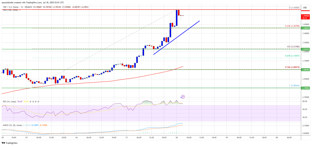 xrp_price_5da3bb XRP Price Skyrockets