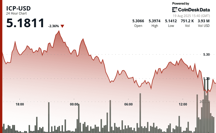 ICP-USD, Aug. 19 2025 (CoinDesk)