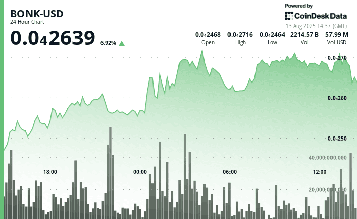 BONK, Aug. 13 2025 (CoinDesk)