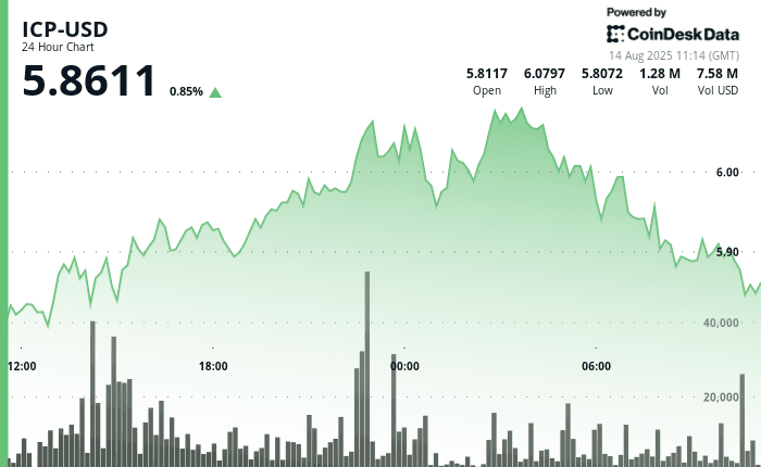 ICP-USD, Aug. 14 2025 (CoinDesk)