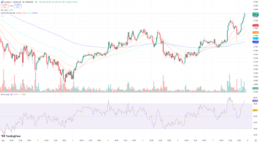 ada-chart-from-cexscan Cardano