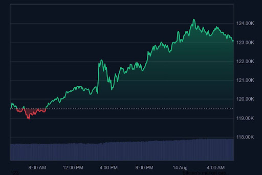 bitcoin-chart-from-coinmarketcap Bitcoin