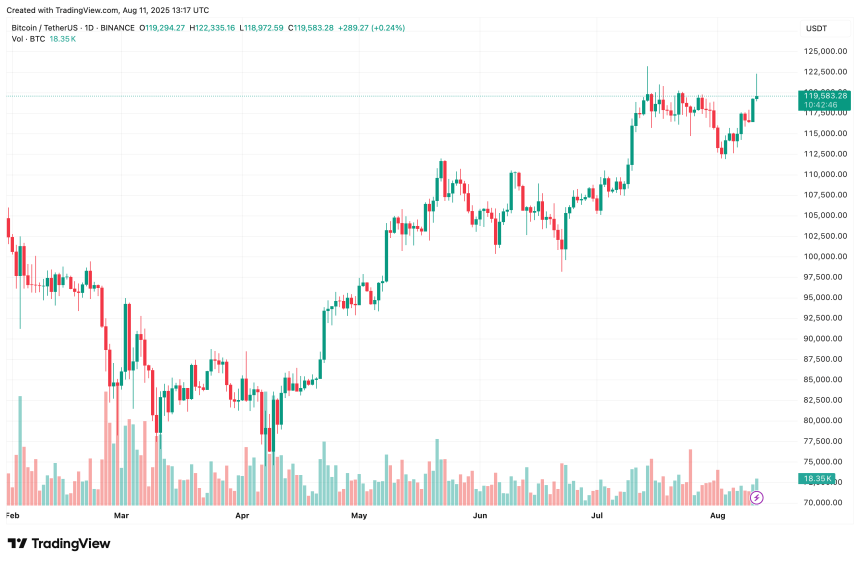 bitcoin_81ff66 bitcoin