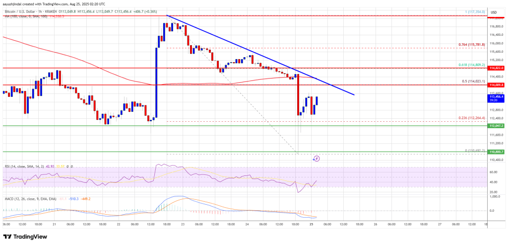 bitcoin_c53971 Bitcoin Price