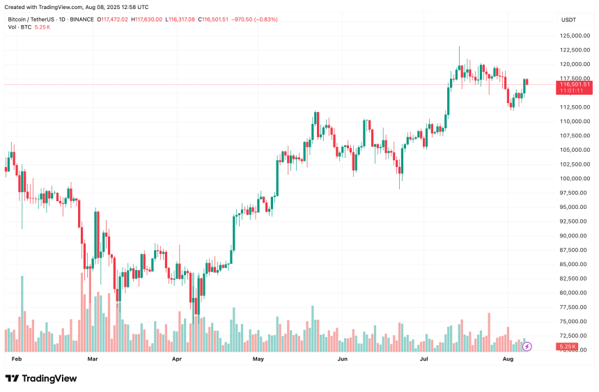 bitcoin_e51f96