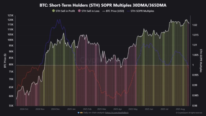 btc_6c0348 Bitcoin Short-Term Holders SOPR Multiples | Source: CryptoQuant