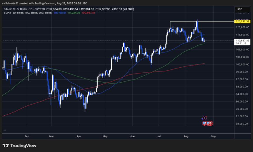 btcusd_2025-08-22_05-38-48 BTC testing pivotal level | Source: BTCUSDT chart on TradingView