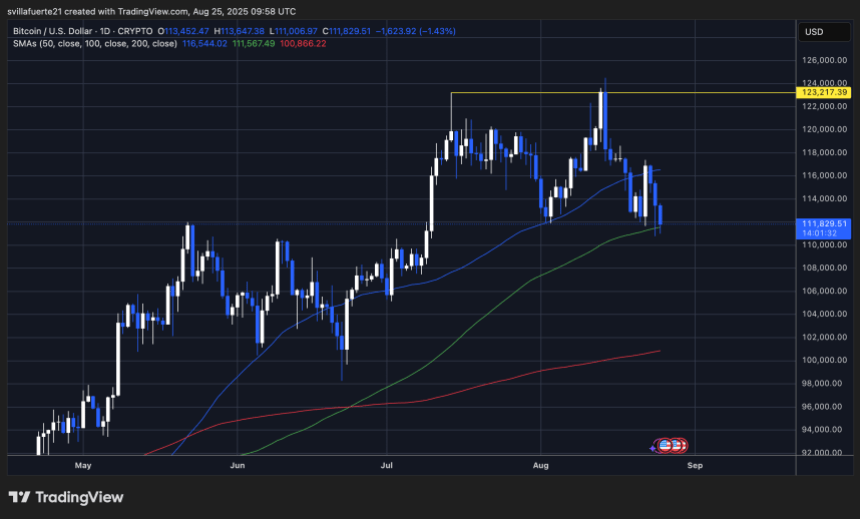 btcusd_2025-08-25_05-58-28 BTC holding $110K level | Source: BTCUSDT chart on TradingView