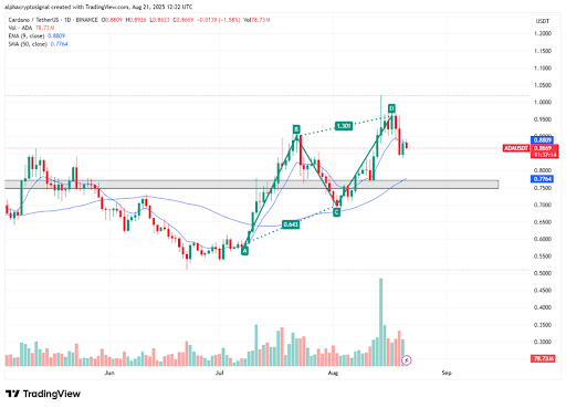 cardano-chart-from-alpha-crypto-signal Cardano