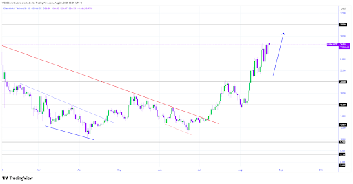 chainlink-chart-from-cryptowrzd Chainlink