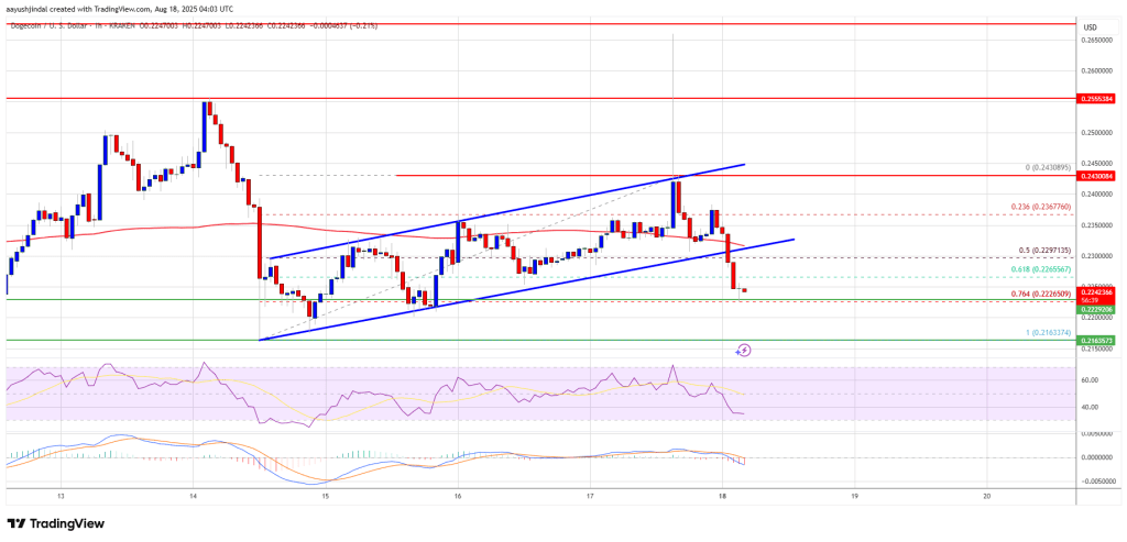 doegcoin-doge_0c0dd3 Dogecoin Price