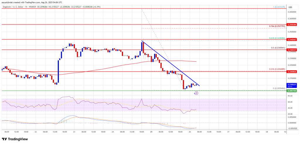 doegcoin-doge_346a02 Dogecoin Price