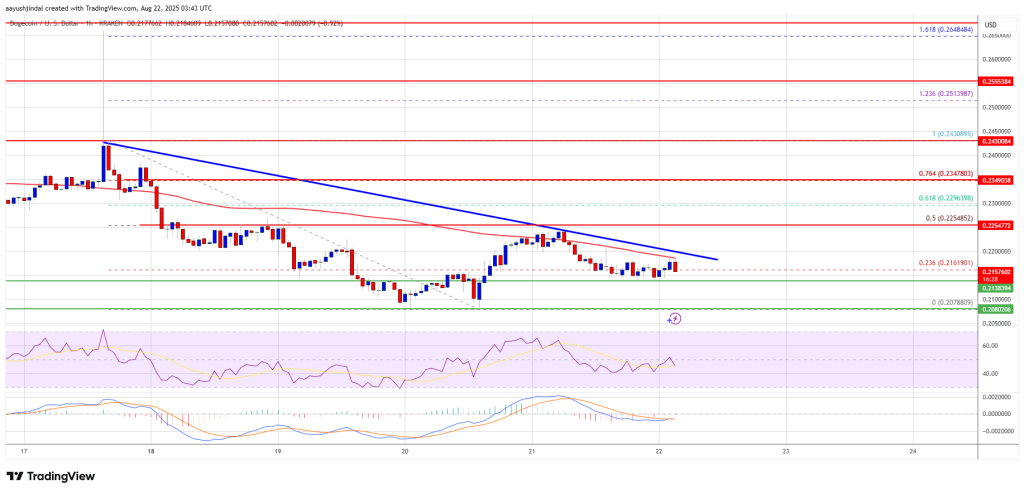 doegcoin-doge_63be13 Dogecoin Price