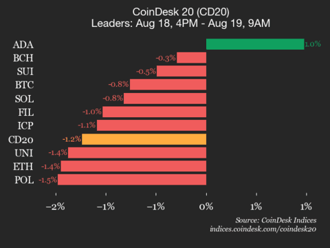 9am CoinDesk 20 Update for 2025-08-19: leaders