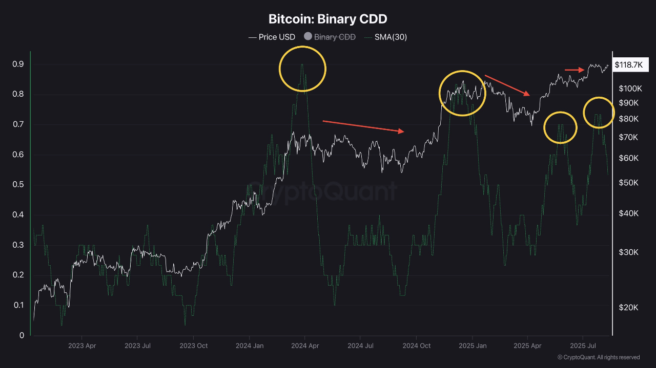 fcippdw4_5e727c5a5ecf24d2f634bb6c7acb6c8f61634b22b21fcb6988c8c8b29b67b4e5 Bitcoin Binary CDD