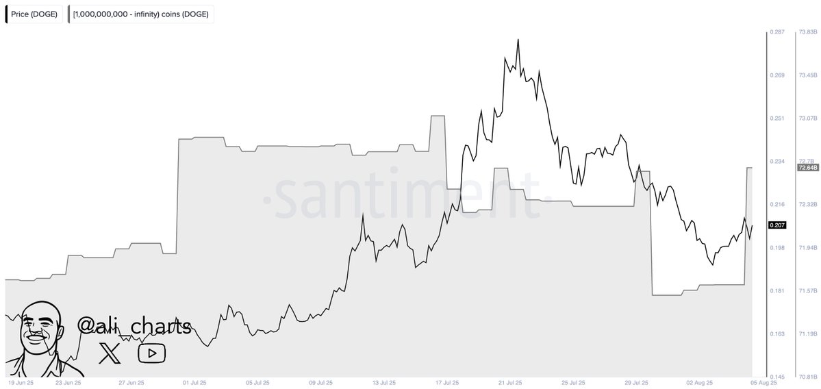 gxntoqowcaanzrd Dogecoin Whales