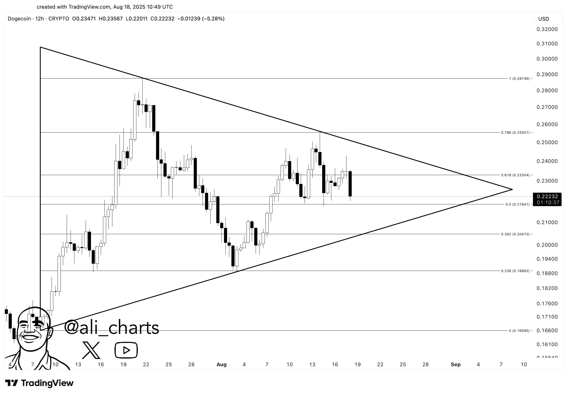 gyoquyzxwaavqm6 Dogecoin Symmetrical Triangle