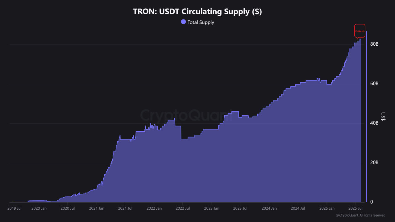 wmqzce_660f1afe26a65f9d57783cee1267f4331d5eae238e227bb012a39f665f1cfea0 TRON USDT circulating supply.