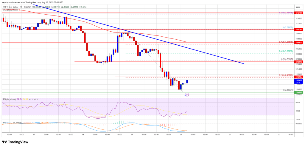 xrp_price_536aa1 XRP Price