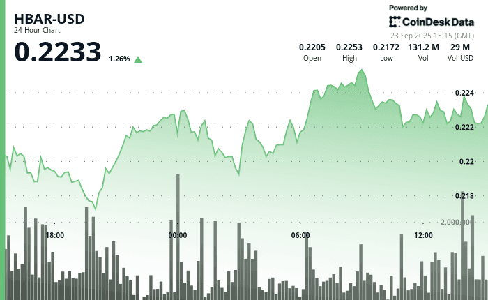 "HBAR price chart showing a 3.85% surge with volume spikes and key support at $0.217, reflecting institutional buying and bullish momentum over a 23-hour trading session."