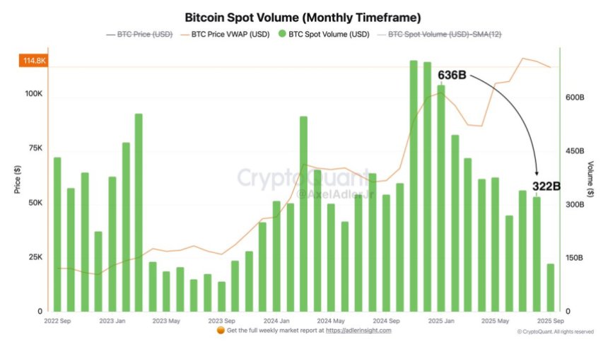 btc_c1536d Bitcoin Spot Volume | Source: Axel Adler