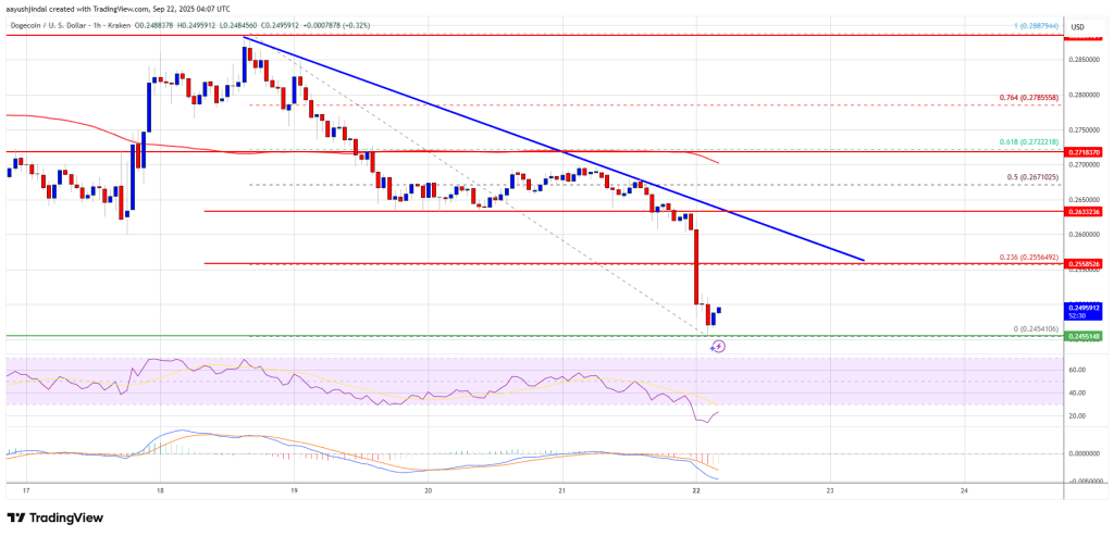 doegcoin-doge Dogecoin Price