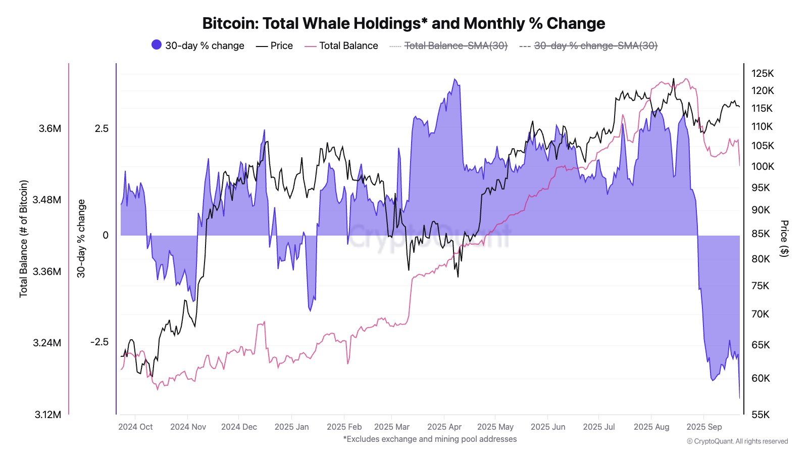 g1jrzd7xuaadnd Bitcoin Whale Holdings