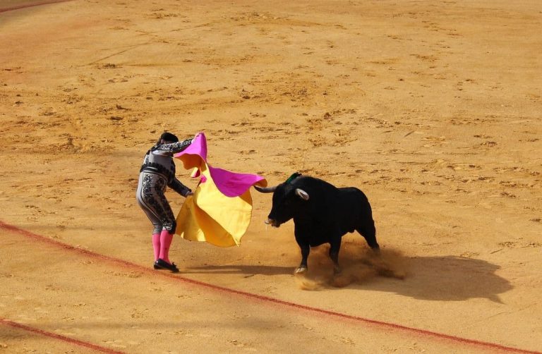 Matador waving flag to a bull. (Sternschnuppenreiter/Pixabay)