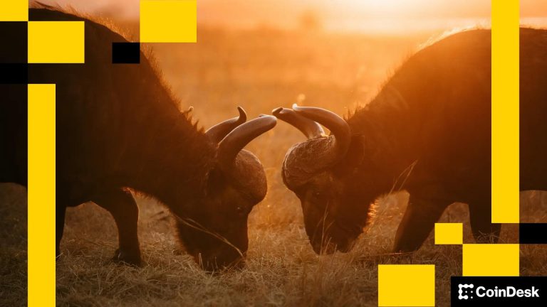 Two male buffalo engaged in a standoff (Unsplash/ redcharlie/ Modified by CoinDesk)