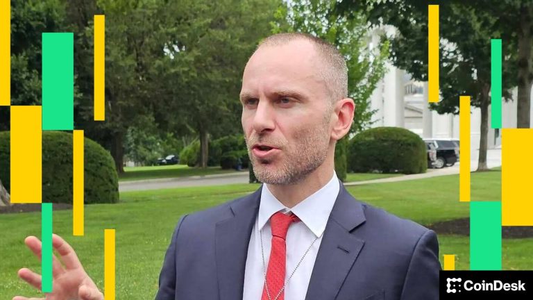 Tether CEO Paolo Ardoino at White House