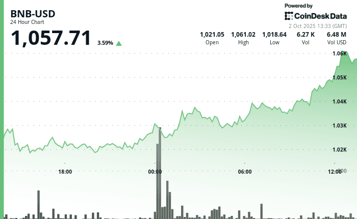 BNBUSD chart (CoinDesk Data)
