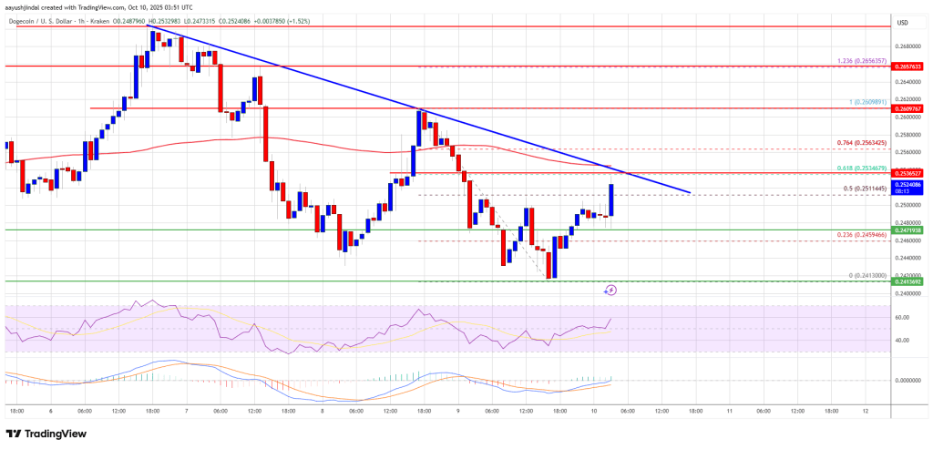 doegcoin-doge_5b165e Dogecoin Price
