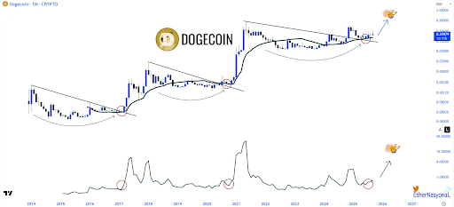 dogecoin-chart-from-ether-naysonal Dogecoin