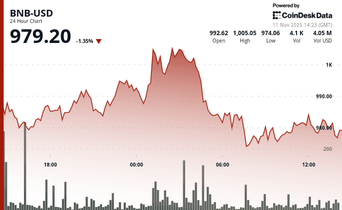 "BNB price chart showing a 2.4% drop to $975, testing key $970 support after failing to hold $1,000 level."