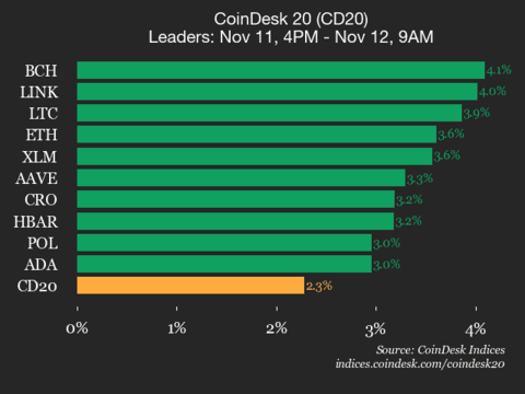 9am CoinDesk 20 Update for 2025-11-12: leaders chart